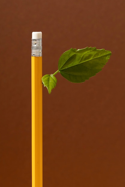 Free photo front view of a plant growing from a pencil