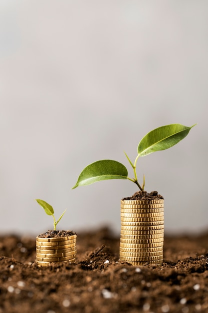 Free photo front view of plants with coins stacked on dirt and copy space