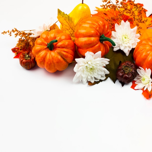 Free Photo front view pumpkins with flowers