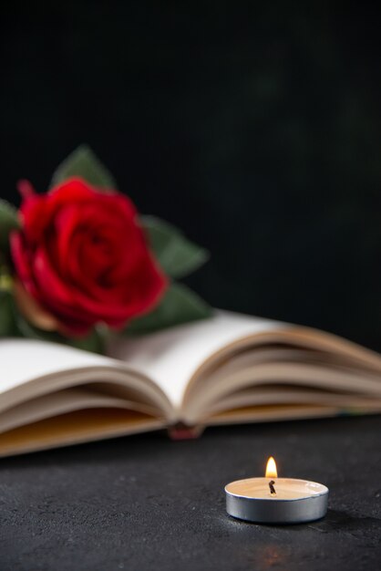 Front view of red flower with open book on dark