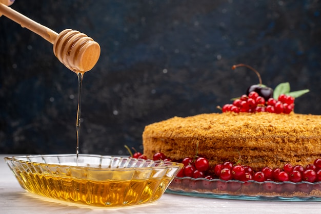 Free photo a front view round honey cake delicious and baked with red cranberries and honey on the grey desk cake biscuit sugar  photo