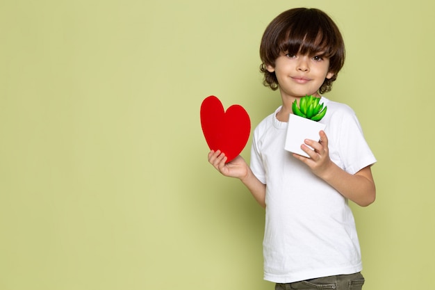 Free Photo a front view smiling kid in white t-shirt holding heart shape and green little plant on the stone colored space