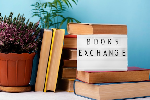 Front view of stacked books with light box and pot of plants