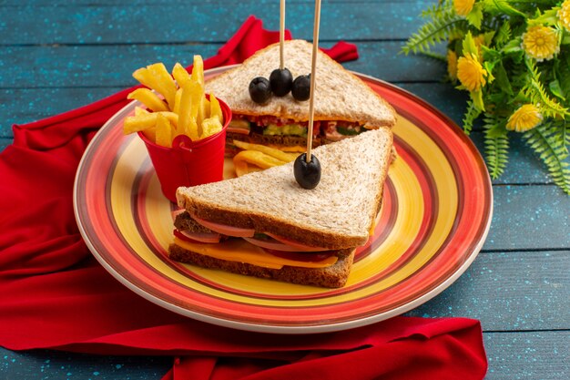 Front view tasty sandwiches inside colorful plate inside cheese ham with french fries on blue