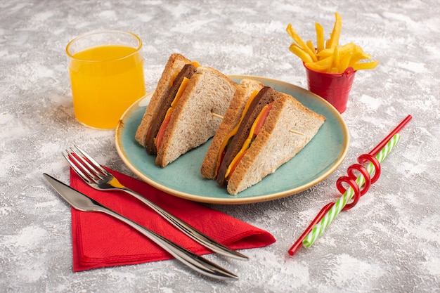 Front view tasty toast sandwiches with cheese ham inside blue plate with juice french fries on white