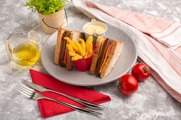 Free photo front view tasty toast sandwiches with cheese ham inside plate with french fries sour cream and oil on white