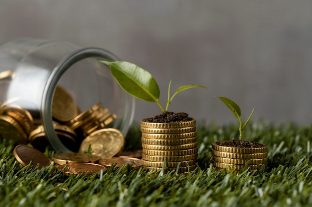 Free Photo front view of two stacks of coins on grass with jar and plants