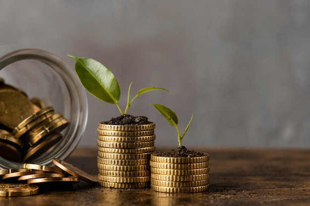 Front view of two stacks of coins with jar and plants