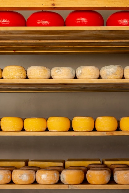 Front view variety of cheese pieces