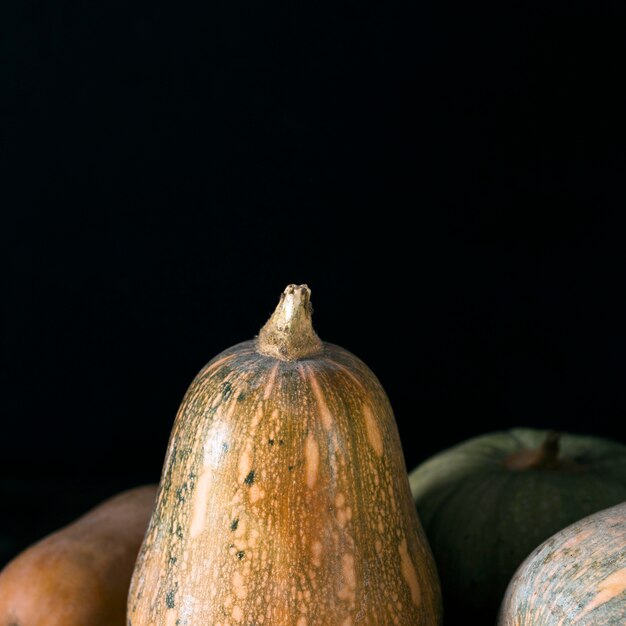 Front view of various autumn squash with copy space