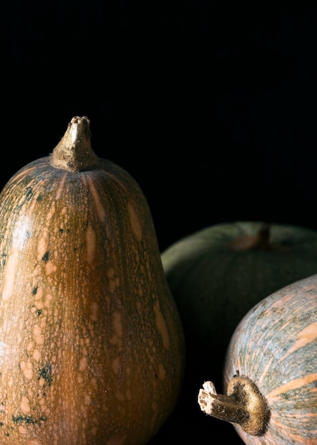 Free Photo front view of various autumn squash