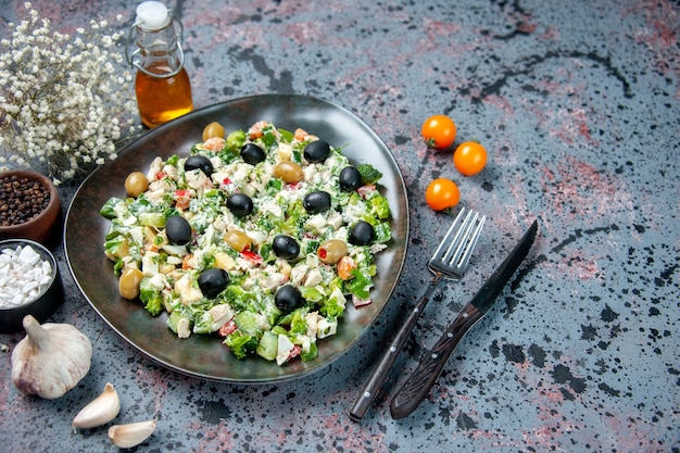 Free Photo front view vegetable salad with mayyonaise and olives inside plate on blue surface color health diet dinner dish photo meal