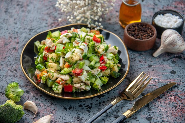 front view vegetable salad with seasonings and garlic on dark surface food restaurant fresh cuisine color lunch diet health