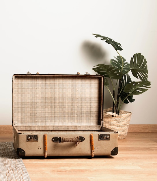 Free Photo front view vintage suitcase with interior plant