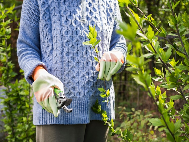 Free photo front view woman cutting leaves from her garden