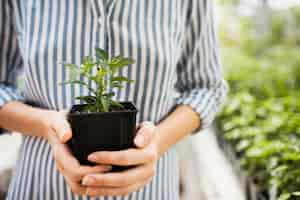 Free photo front view of woman holding black flowerpot