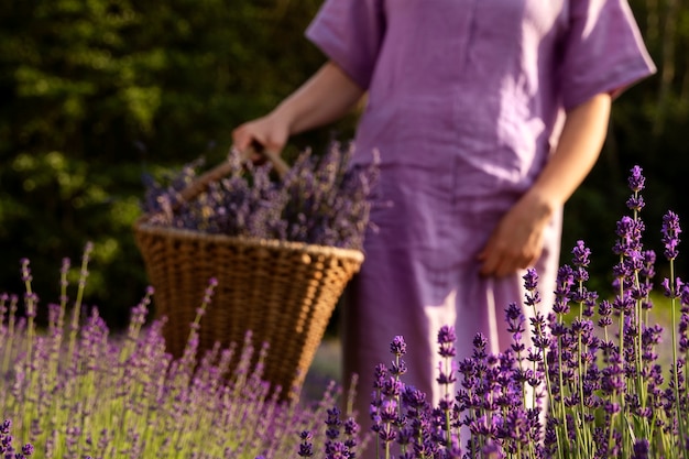 Front view woman holding lavender basket