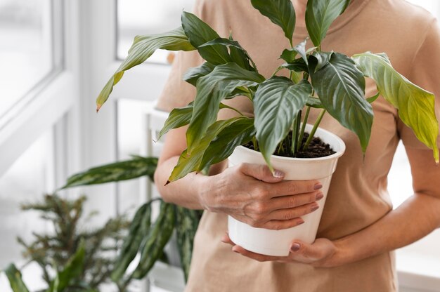 Front view of woman holding pot of indoor plant