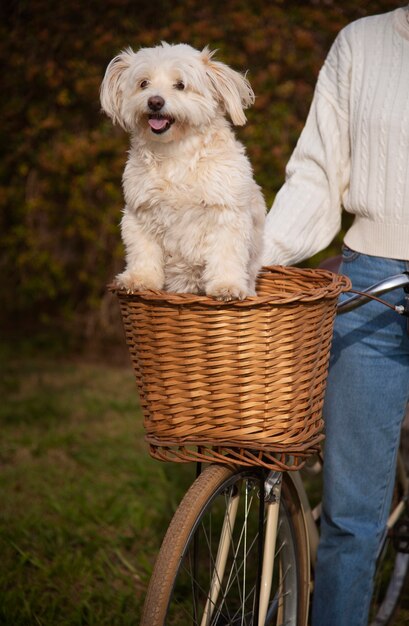 Front view woman with cute dog