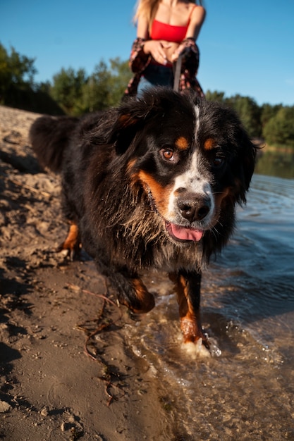 Front view woman with dog on beach