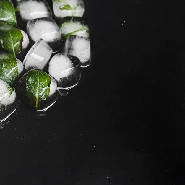 Free photo frozen leaves in ice cubes