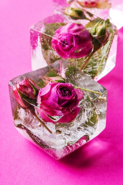 Frozen rose