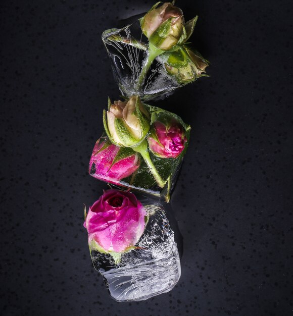 Frozen rose