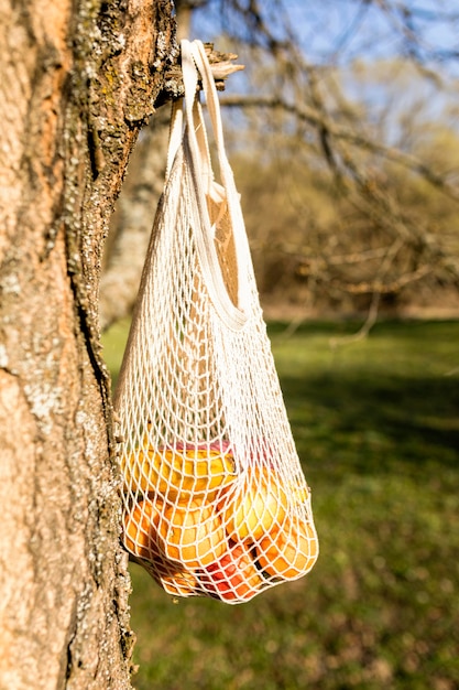 Fruit in a bag left on a tree