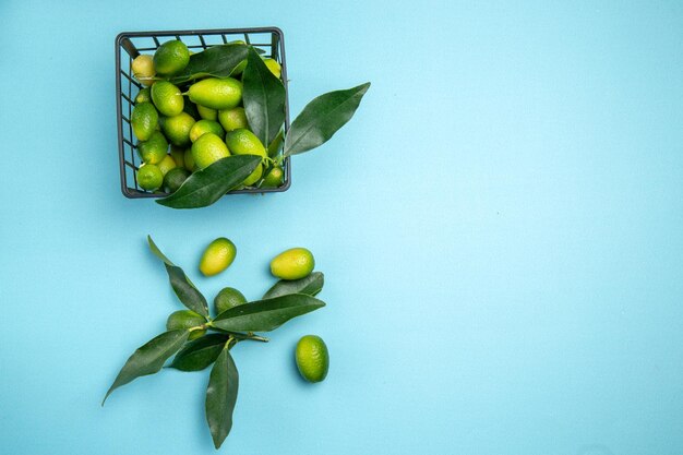 fruits the appetizing citrus fruits with leaves in the grey basket