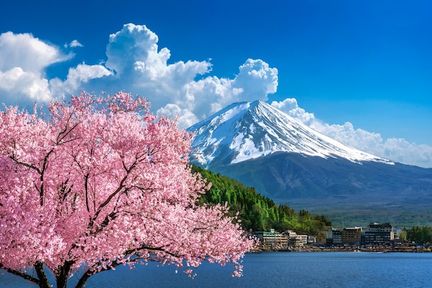 Fuji mountain and cherry blossoms in spring, Japan.