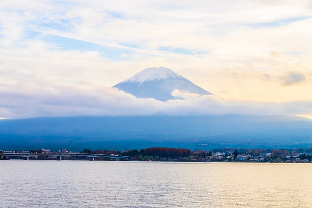 Fuji Mountain