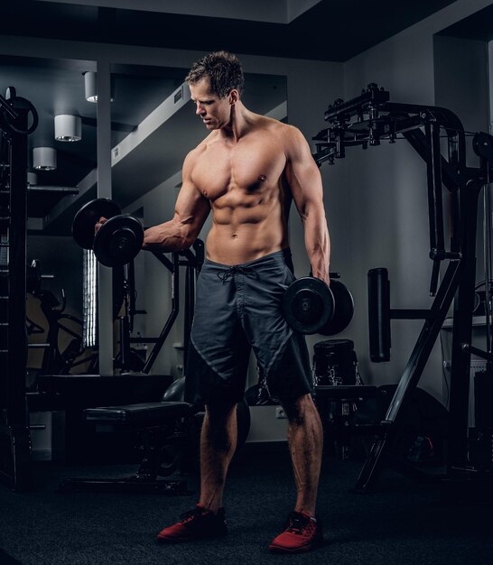 Full body portrait of athletic shirtless male doing biceps workouts with dumbbells in a gym club.