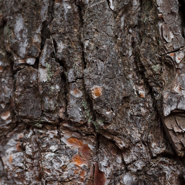 Full frame background of weathered rock