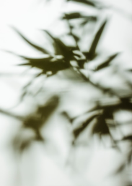 Free Photo full frame of defocused leaves background