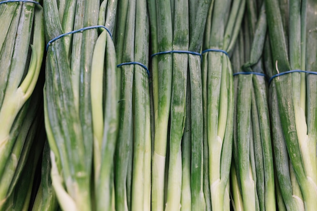 Free photo full frame of freshly scallion bundle