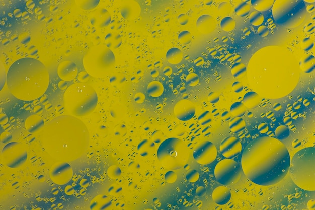 Free photo full frame shot of transparent oil bubbles on colorful background