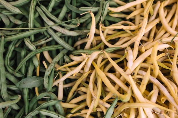 Full frame of slender white and green beans