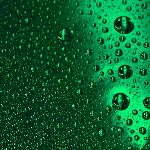 Full frame of transparent bubbles over the green textured background