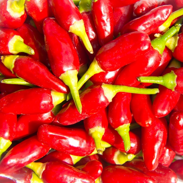 Free photo full image of red chilli