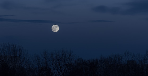 Free Photo full moon in the dark sky during moonrise