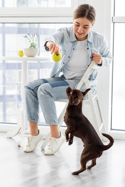 Full shot dog looking at apple