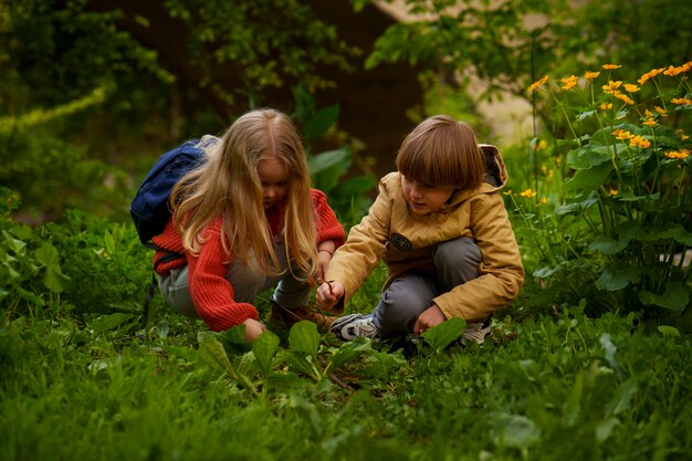 Full shot kids exploring nature together