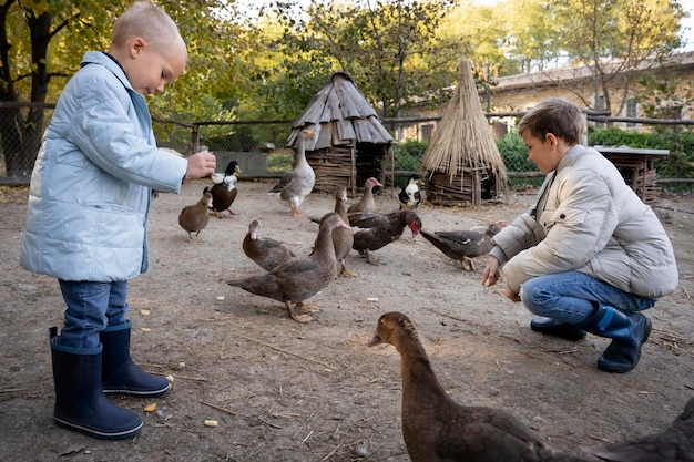 Full shot kids feeding birds