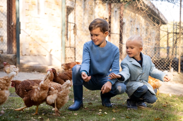 Free Photo full shot kids feeding chickens