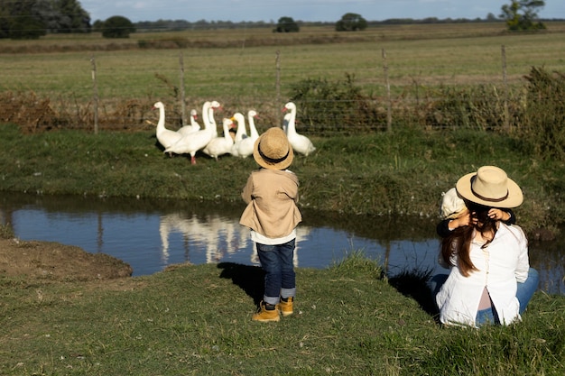 Free photo full shot kids watching geese