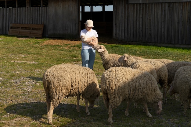 Full shot woman feeding sheep in the field