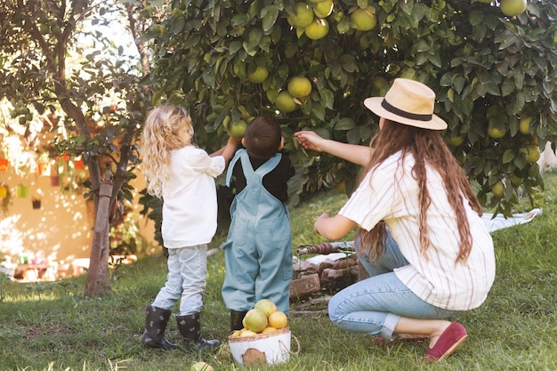 Free photo full shot  woman and kids picking fruits