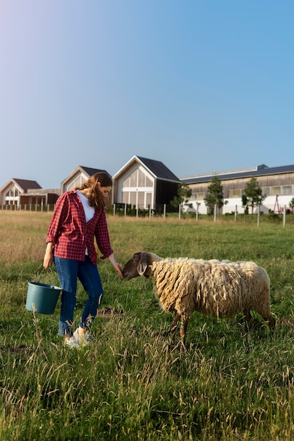 Full shot woman petting sheep