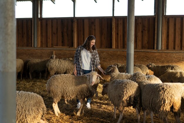 Full shot woman taking care of sheep