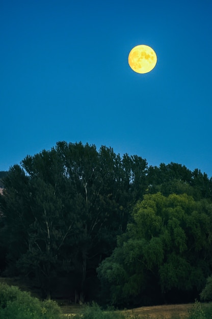 Free Photo full yellow moon on a blue sky